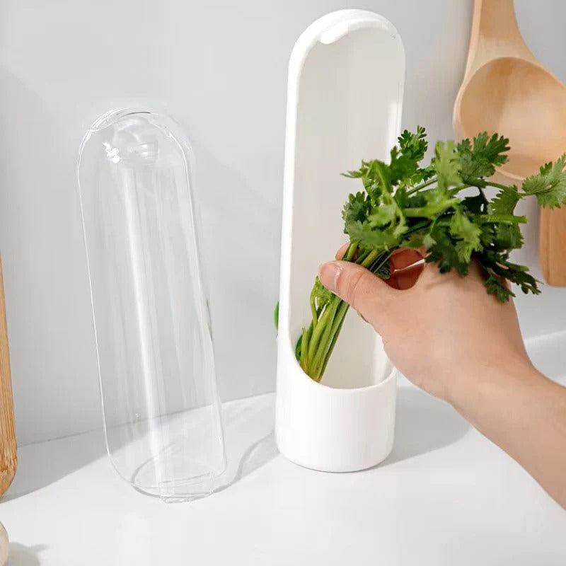 Boite de Rangement pour herbes- VeggieCrisp™