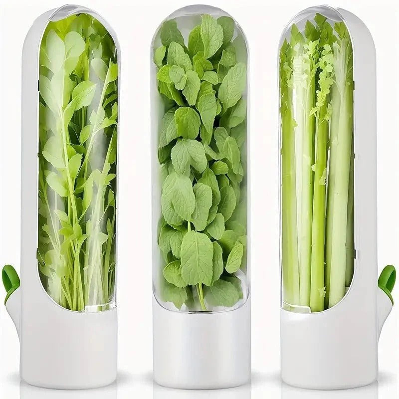 Boite de Rangement pour herbes- VeggieCrisp™